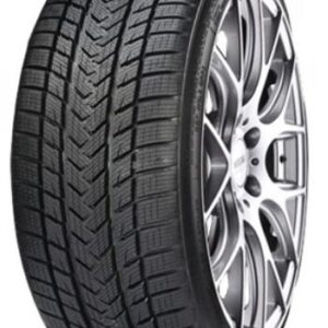Gripmax PRO WINTER XL 265/35R21 101V