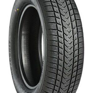 Gripmax PRO WINTER XL 205/60R17 97V