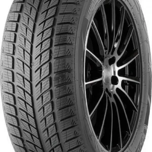 Doublestar DW09 255/50R20 109H