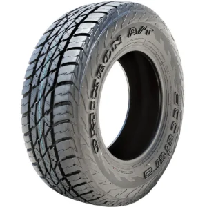 Accelera Omikron A/T 285/40R22 110H