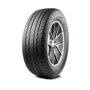 Antares MAJORIS R1 225/55R19 99V