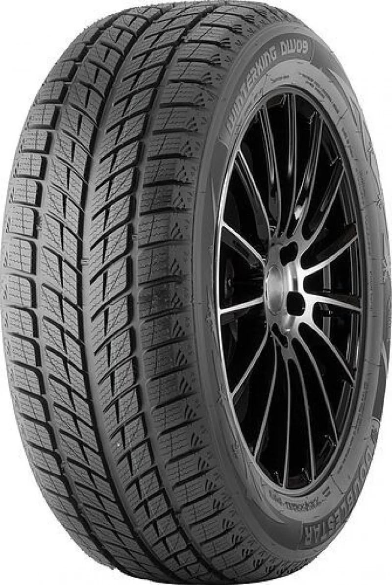Doublestar DW09 245/40R18 93H