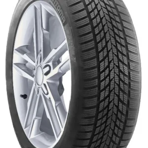Petlas RoadFun Winter 225/40R18 92V