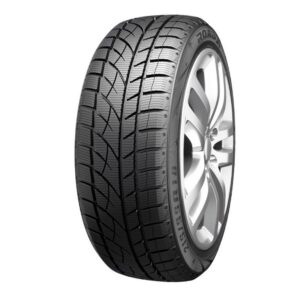 Roadx RXFROST WU01 205/55R17 95H